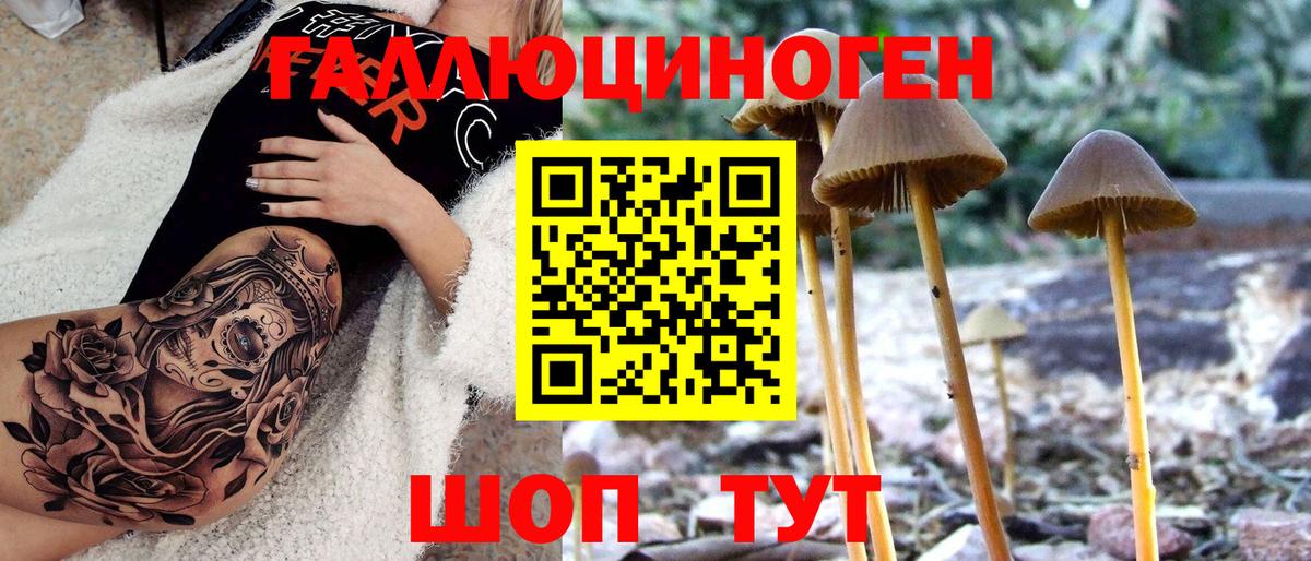 Псков  Галлюциногенные грибы мухоморы  Вход с VPN 